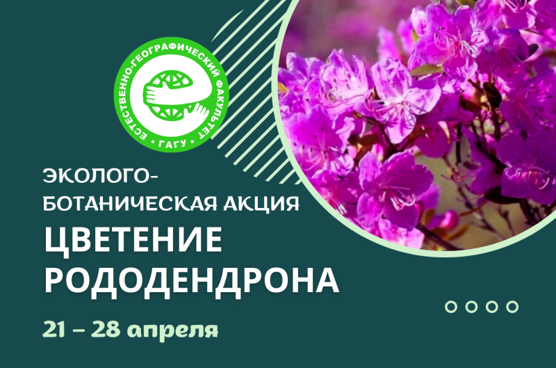 Эколого-ботаническая акция «Цветение рододендрона»