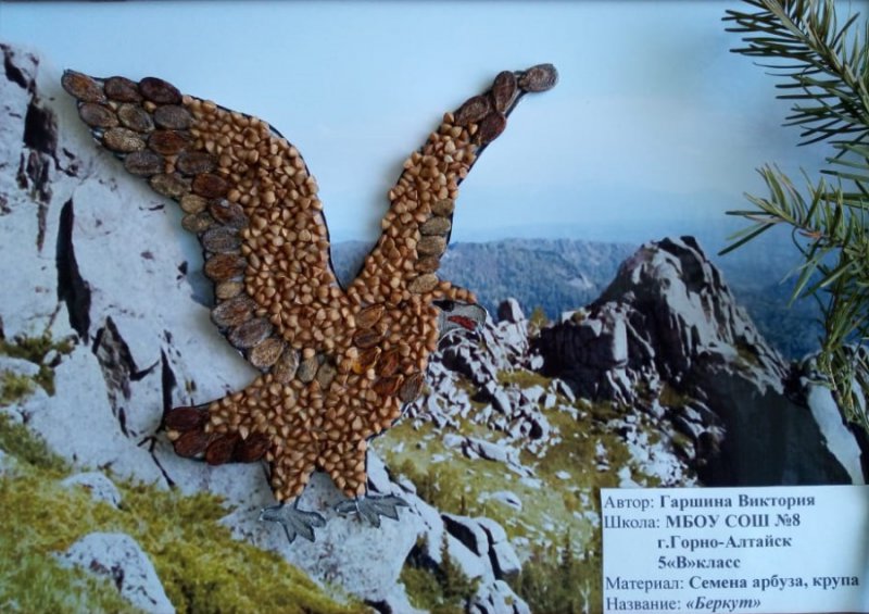 «День птиц – 2020» на ЕГФ